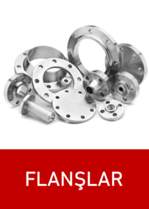 Paslanmaz Flanşlar